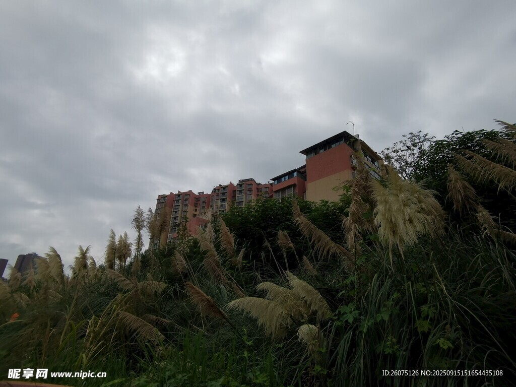 云雾中的山间古老建筑