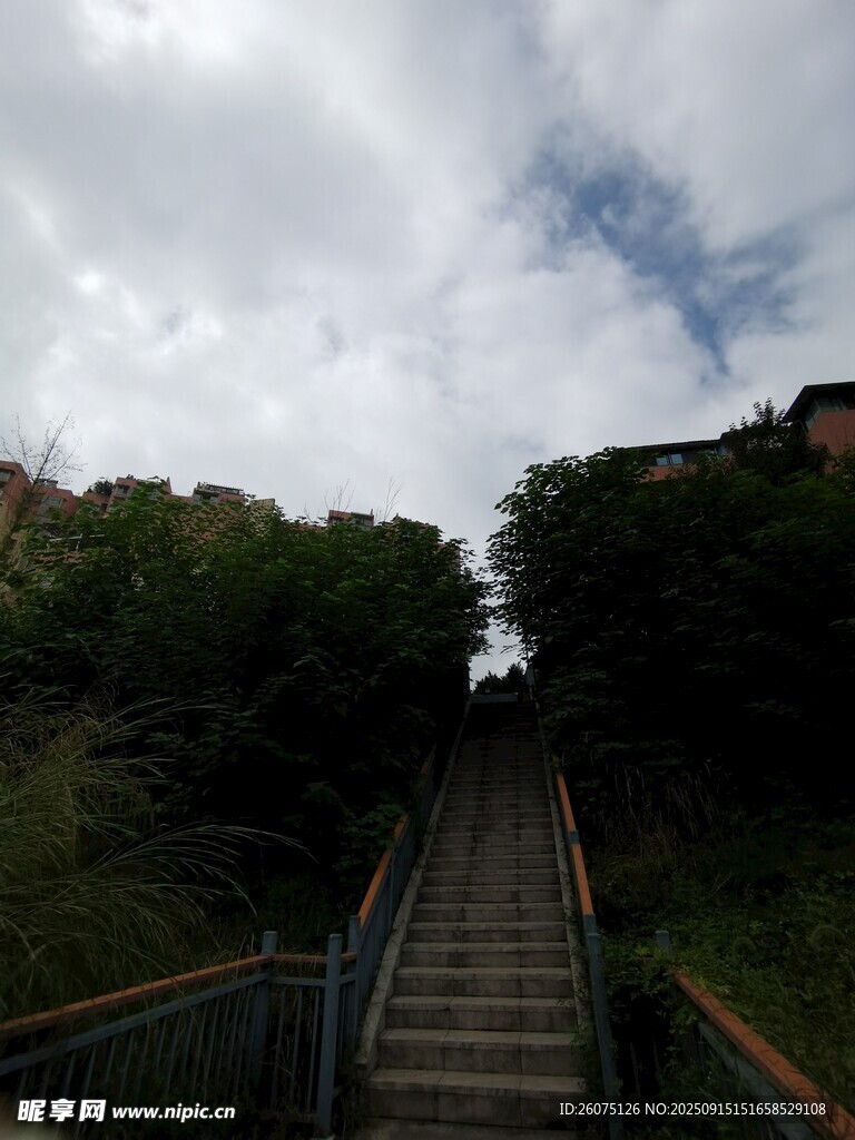 蜿蜒向上的林间石阶