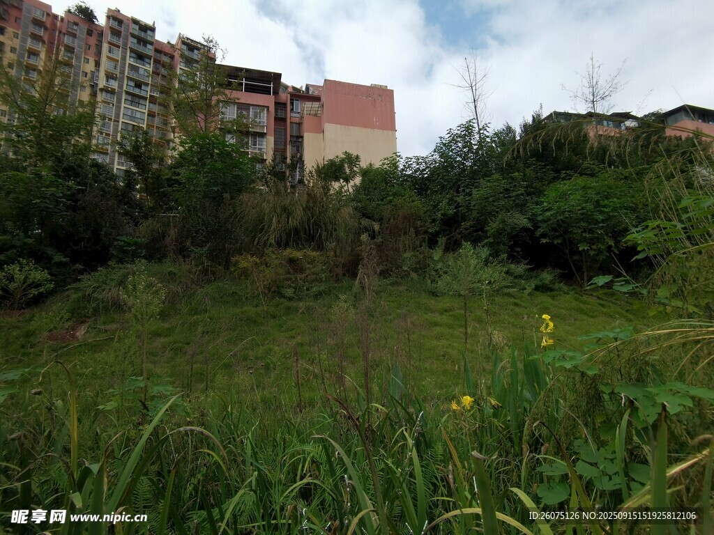 城郊草地旁的多层建筑群