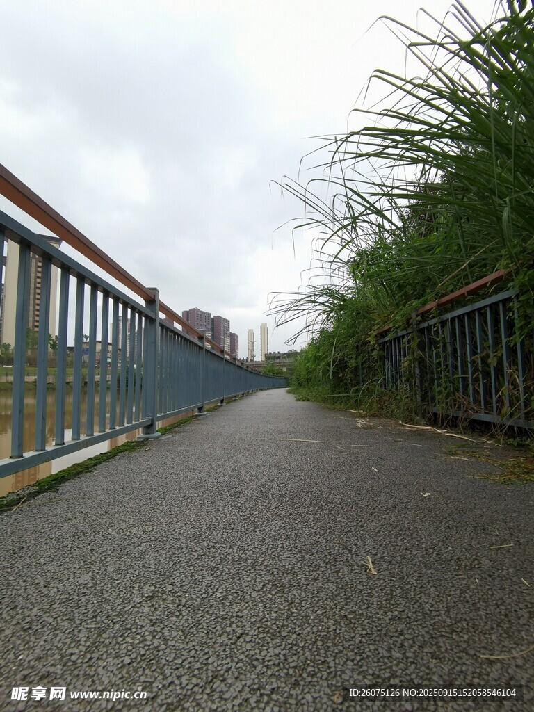空旷宁静的户外小路