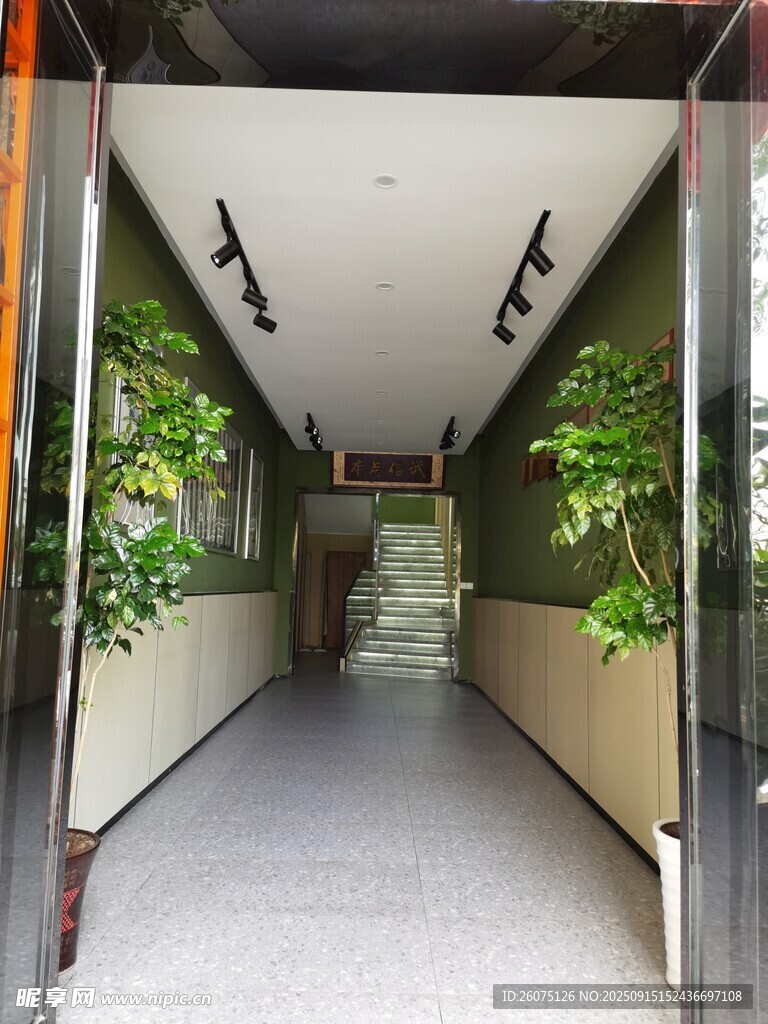 室内绿植装饰的走廊通道