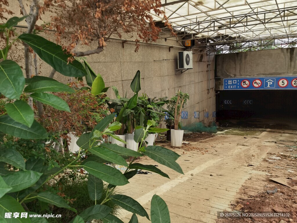 温室中的绿植与设施