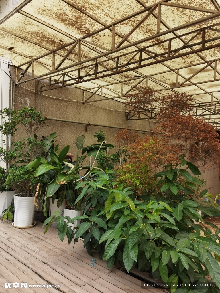 室内绿植景观一角