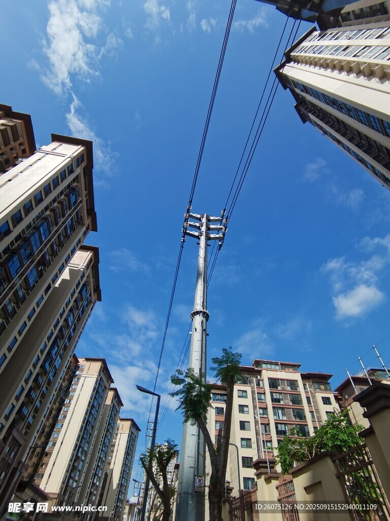 城市高楼间的电线杆景象
