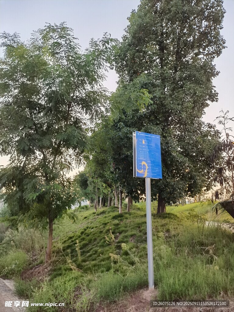 路边蓝色指示牌
