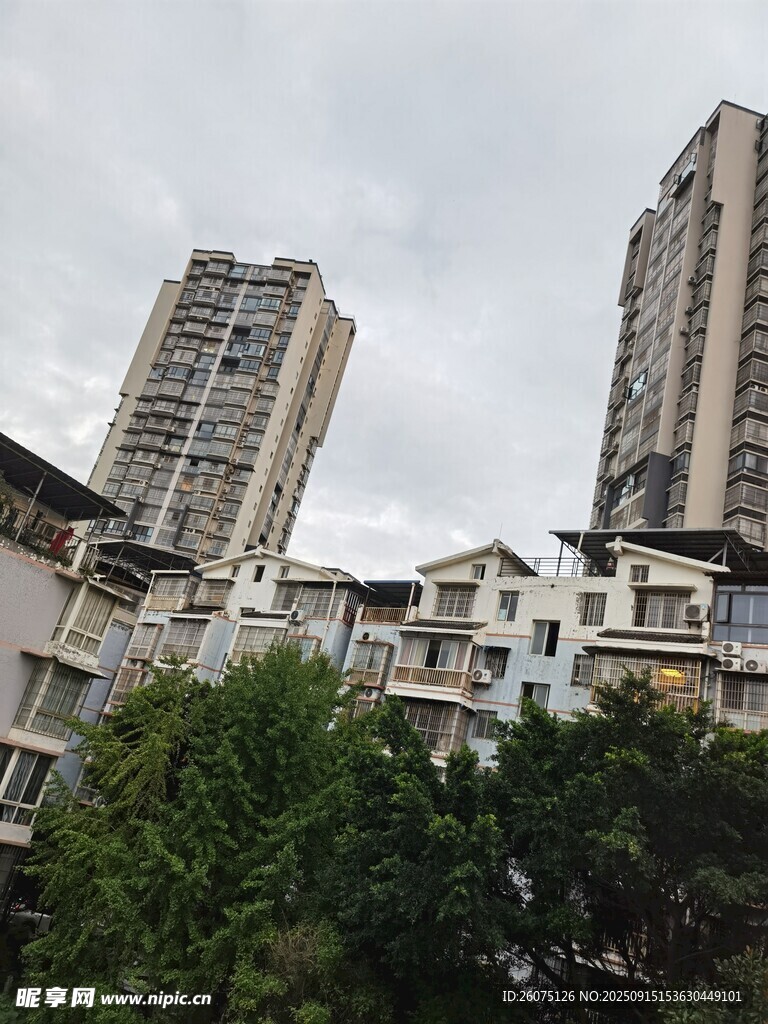 城市高层住宅与绿树景观