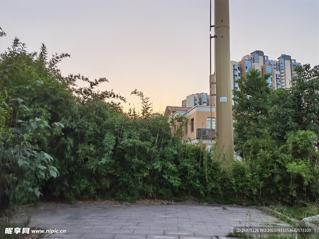 城市中的绿植与建筑角落
