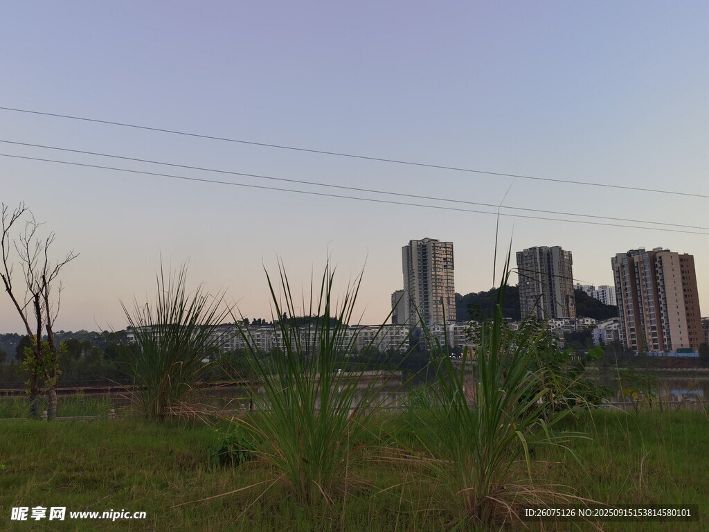 城郊草地与远处高楼景观