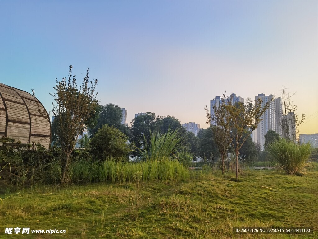 户外草地与建筑景观