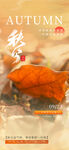秋分 