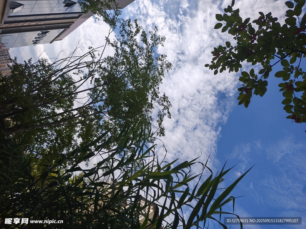 蓝天绿树间的自然景致