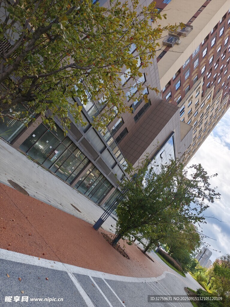 城市街道旁的现代建筑景观