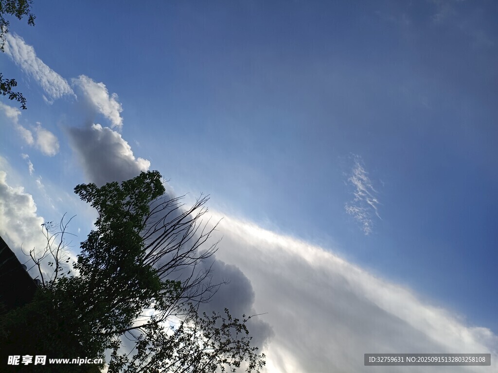 蓝天绿树间的阳光云景