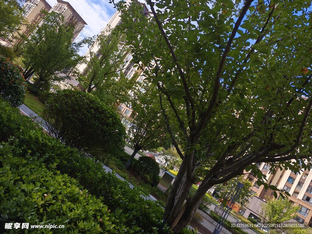 城市中的绿意盎然景观