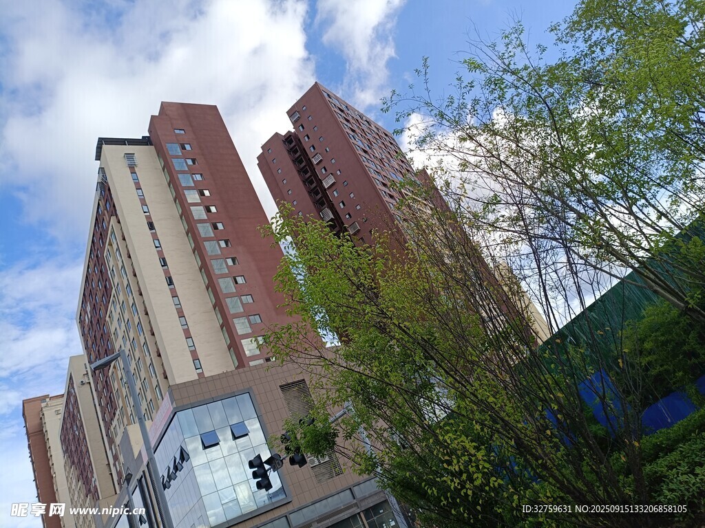 城市中林立的高楼与绿树