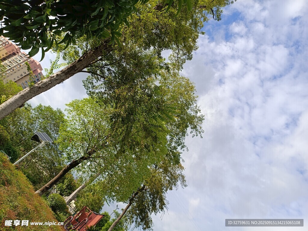 绿树蓝天的清新户外景象