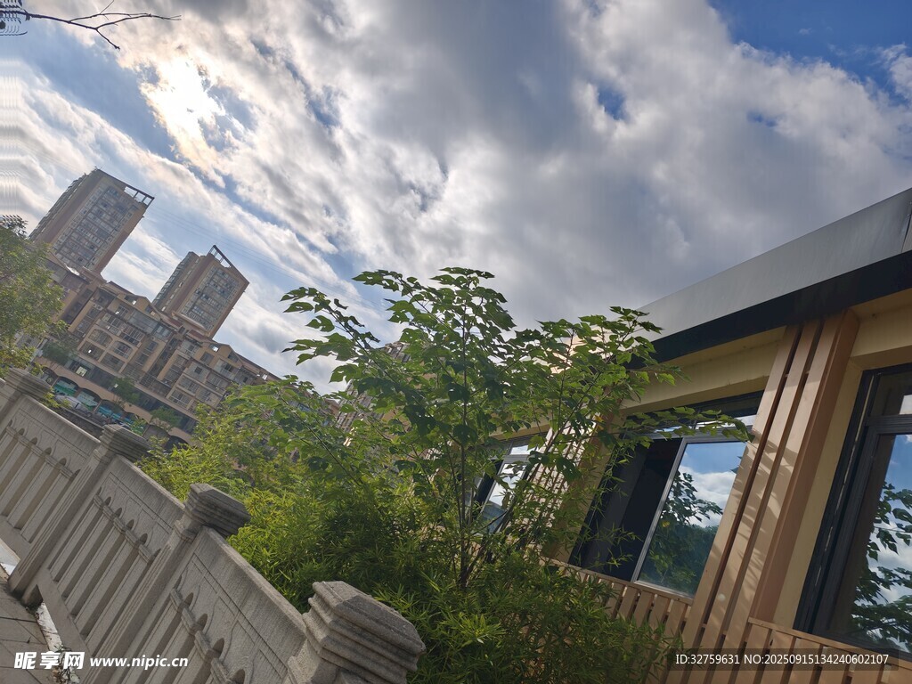 屋顶木屋旁的绿植与城市景