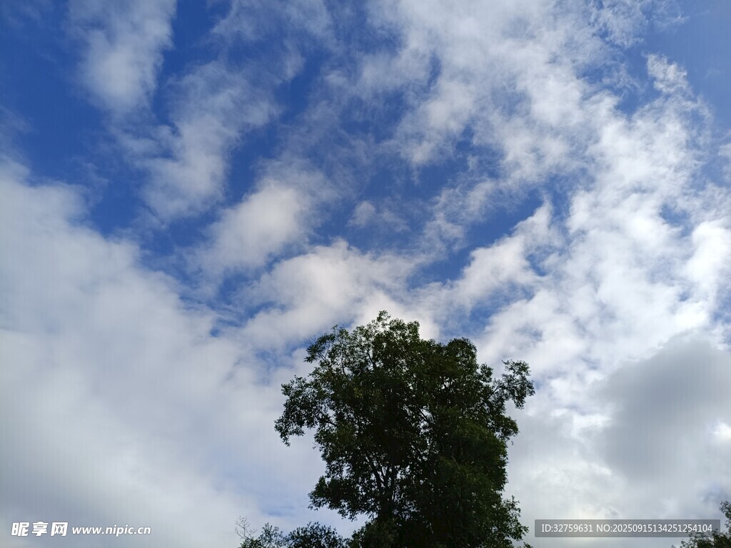 蓝天绿树间的清新景致