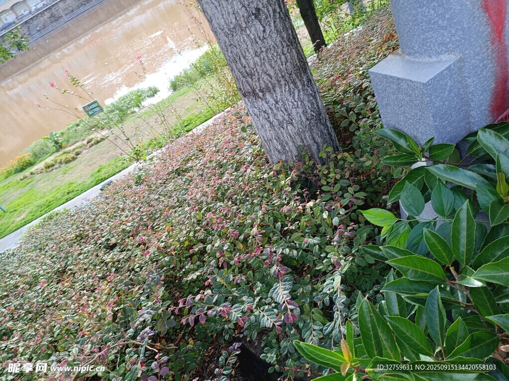 户外绿植与设施景观