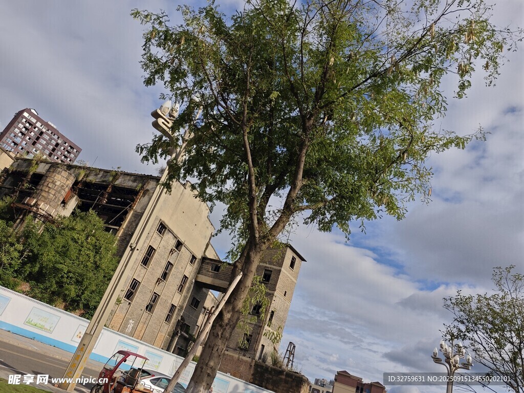 街边绿树旁的建筑物