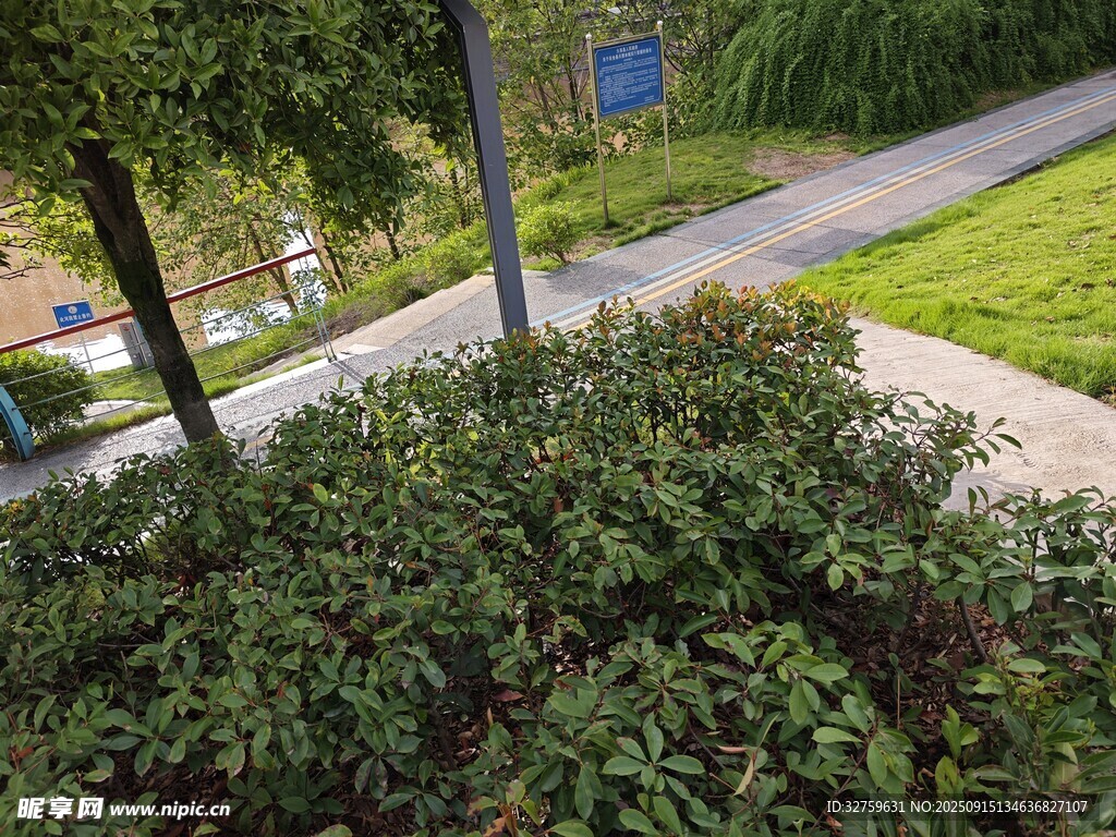 户外绿植与道路景观