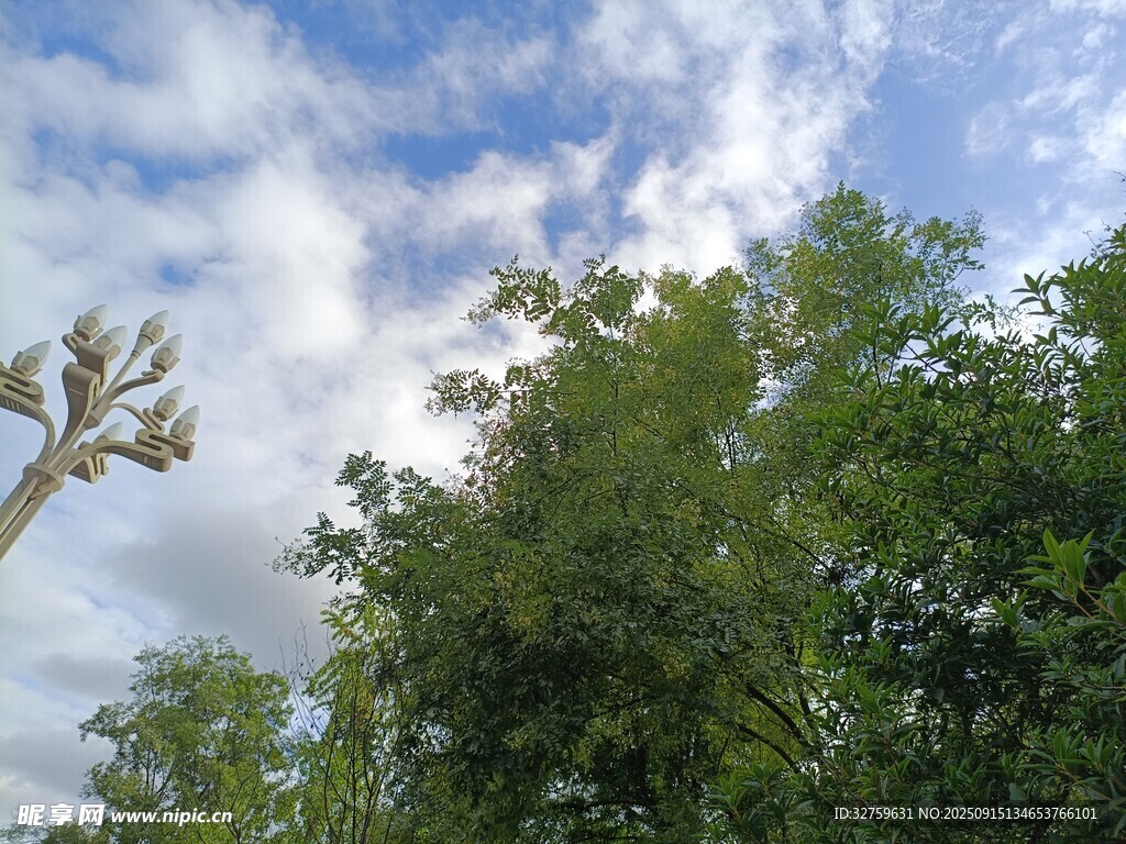 蓝天绿树间的自然景致