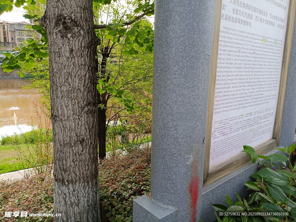 窗边树木与户外景色
