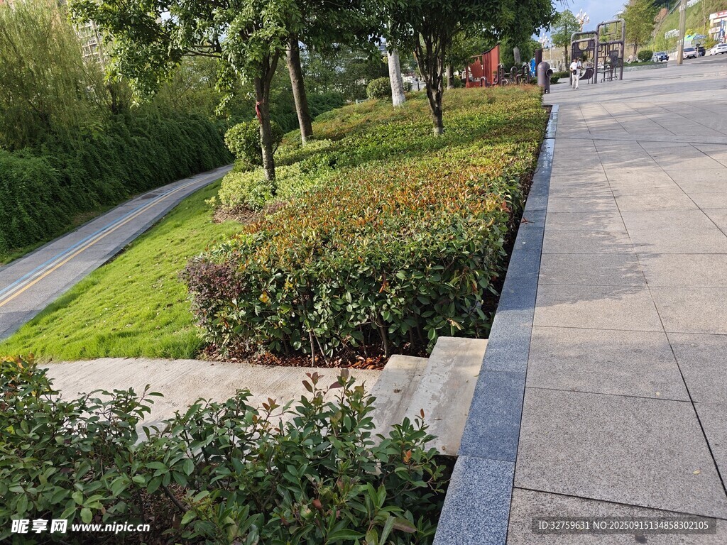 城市街边绿意盎然的景观