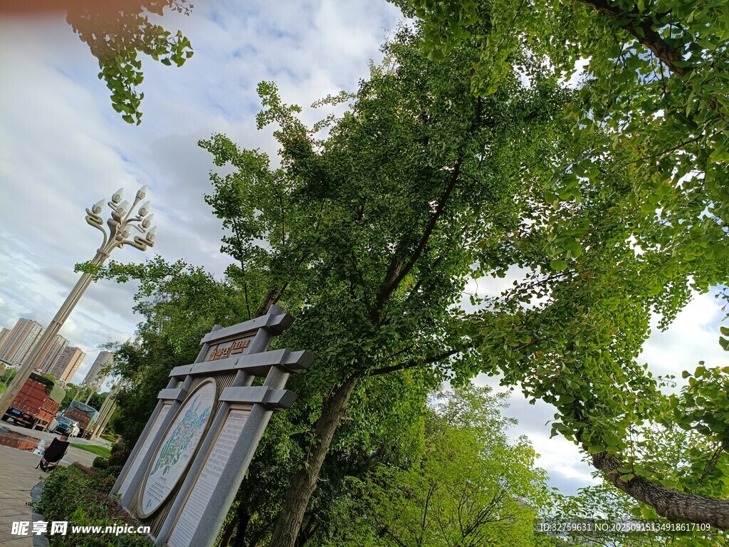 绿树环绕的户外景致