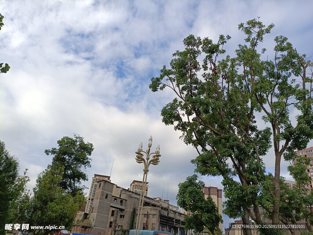 蓝天白云下的绿树与建筑