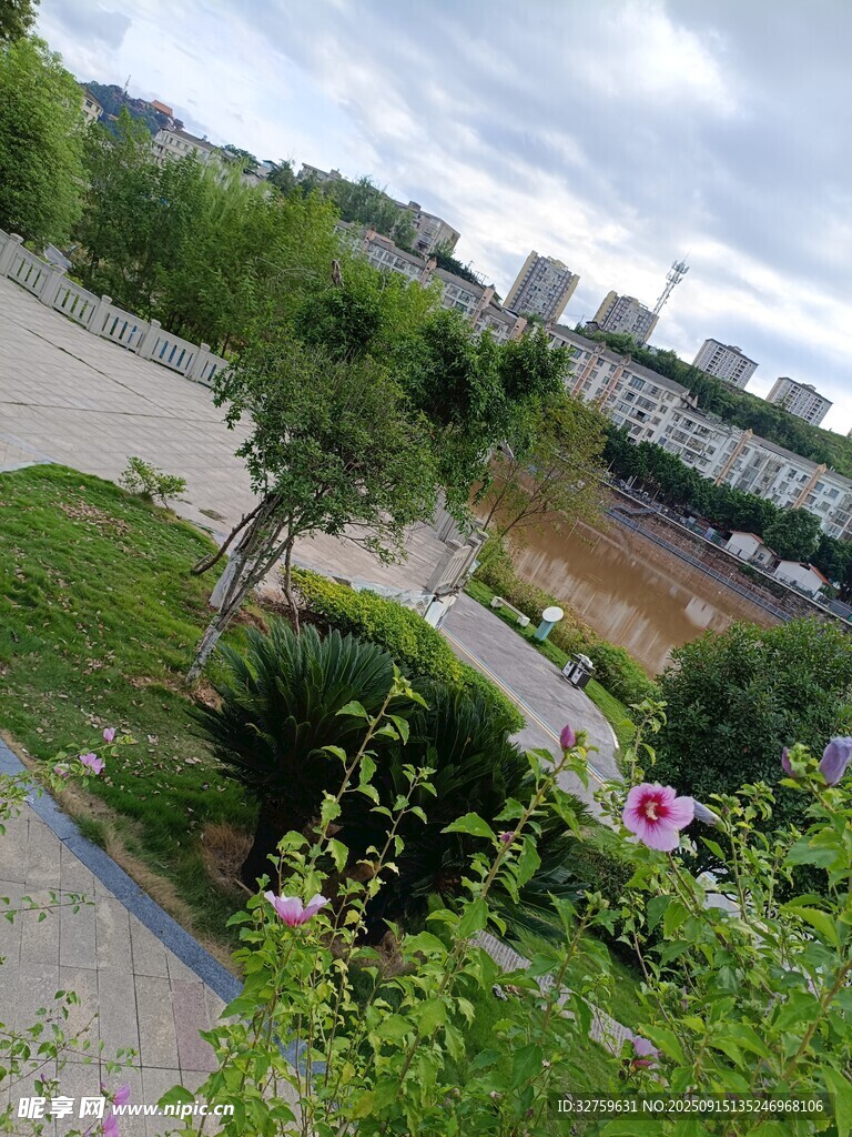 城市公园绿植景观一角