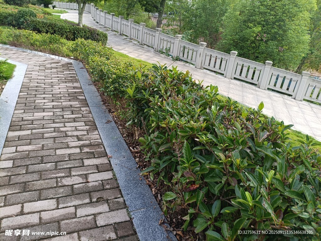 园林砖石小径与绿植景观
