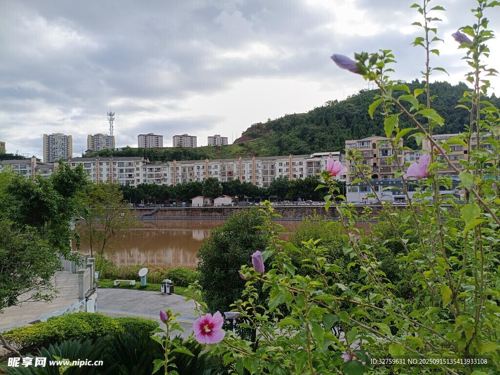 城市绿植环绕的景致