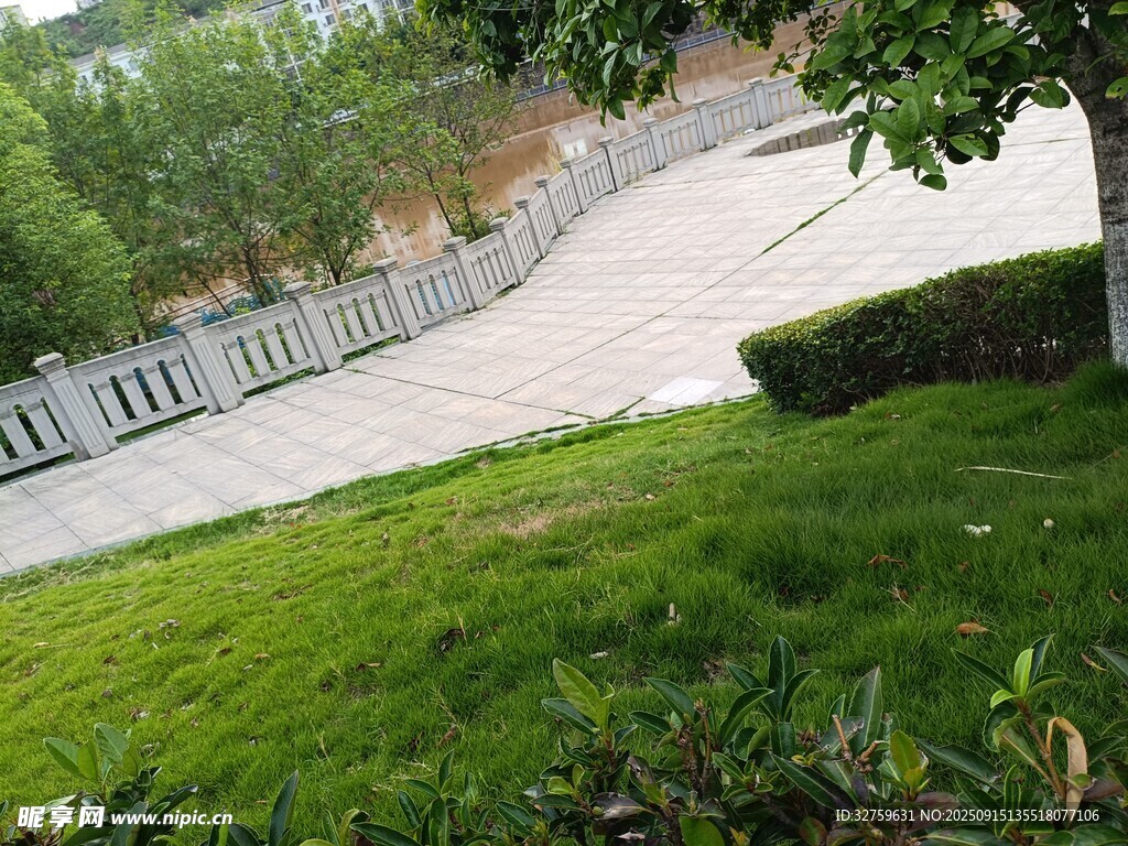 庭院绿植与围栏景致
