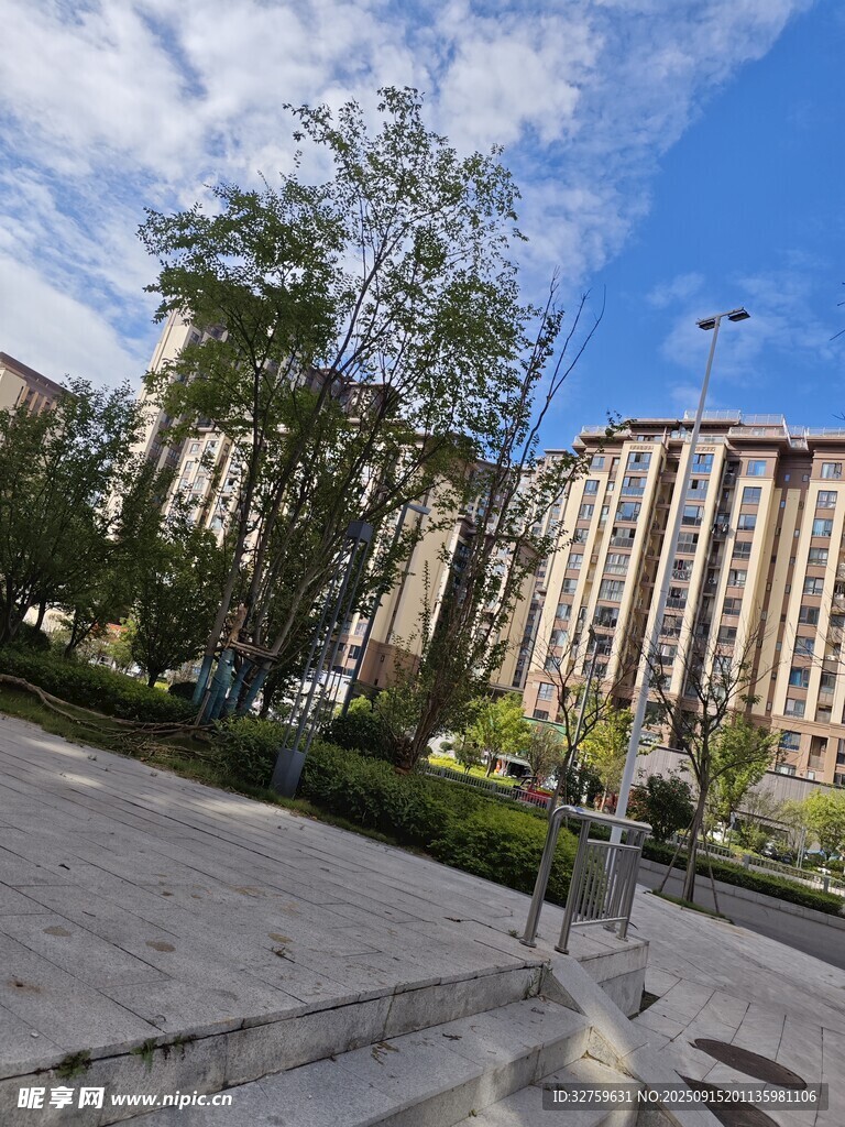 城市街道旁的现代建筑景观
