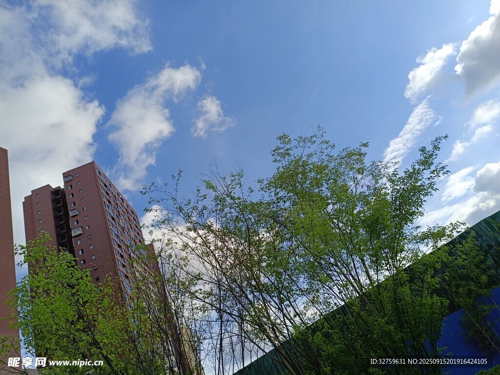 城市中蓝天绿树与高楼