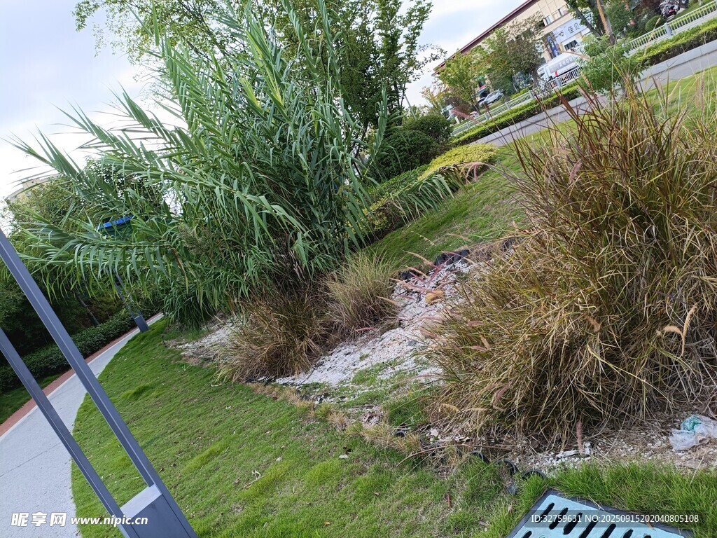 户外绿植景观一角