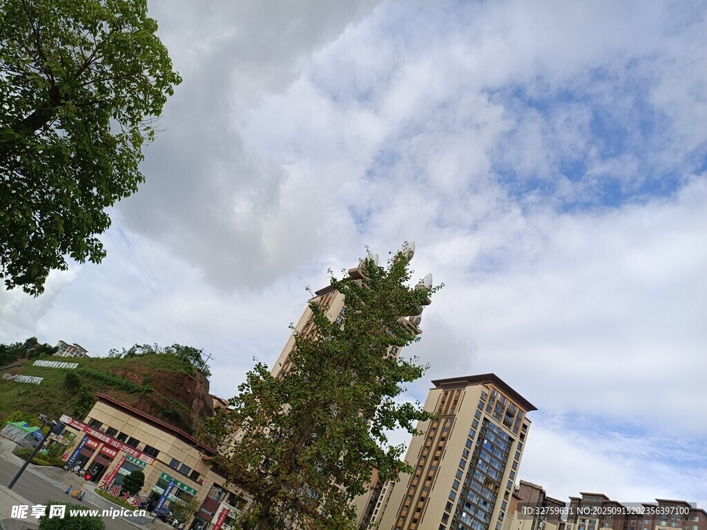 城市街道旁的建筑与绿树