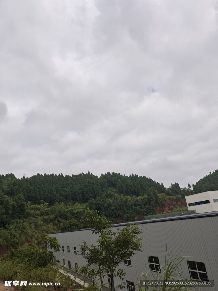 阴天工厂旁的葱郁山林