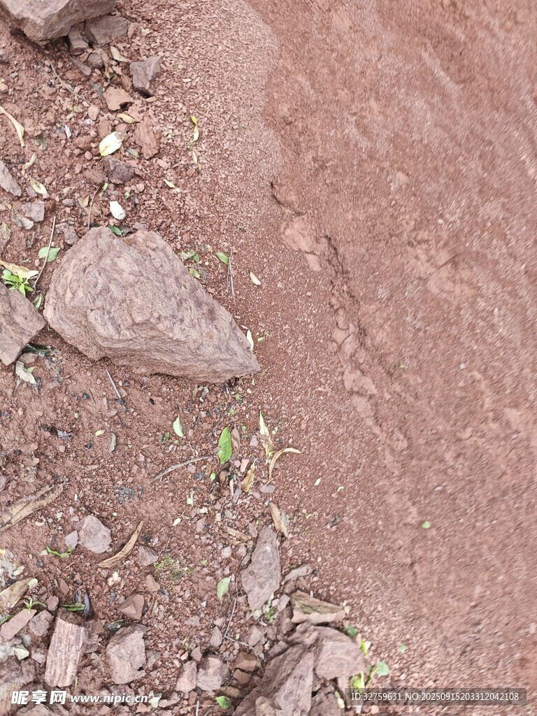 红褐色土地上的石块与小草