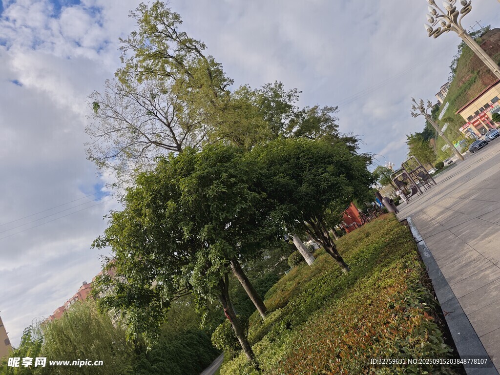 城市街边绿树与蓝天白云