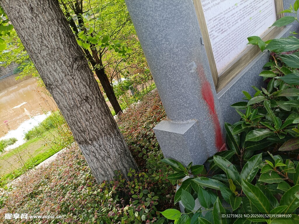 墙边树干旁的灰色箱体