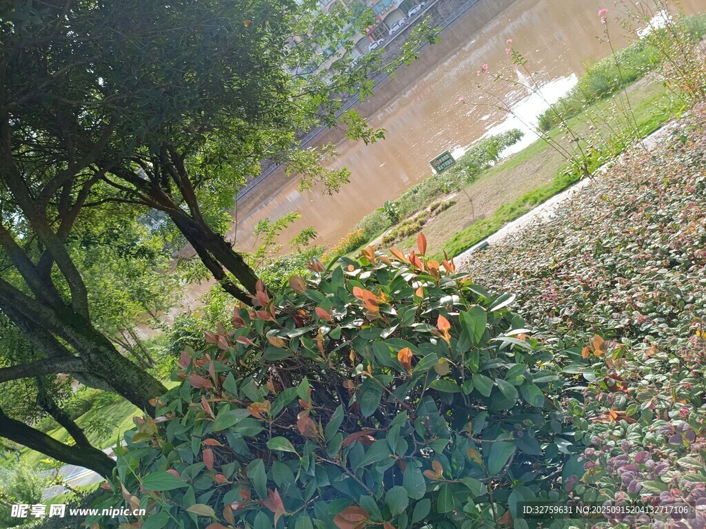 户外绿植景观