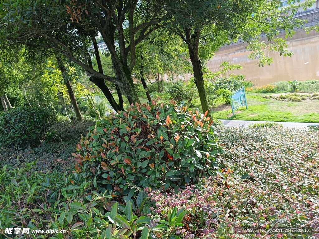 户外绿植景观一角