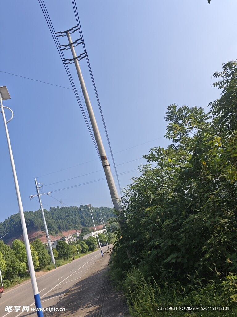 乡村路旁的电线杆与绿植