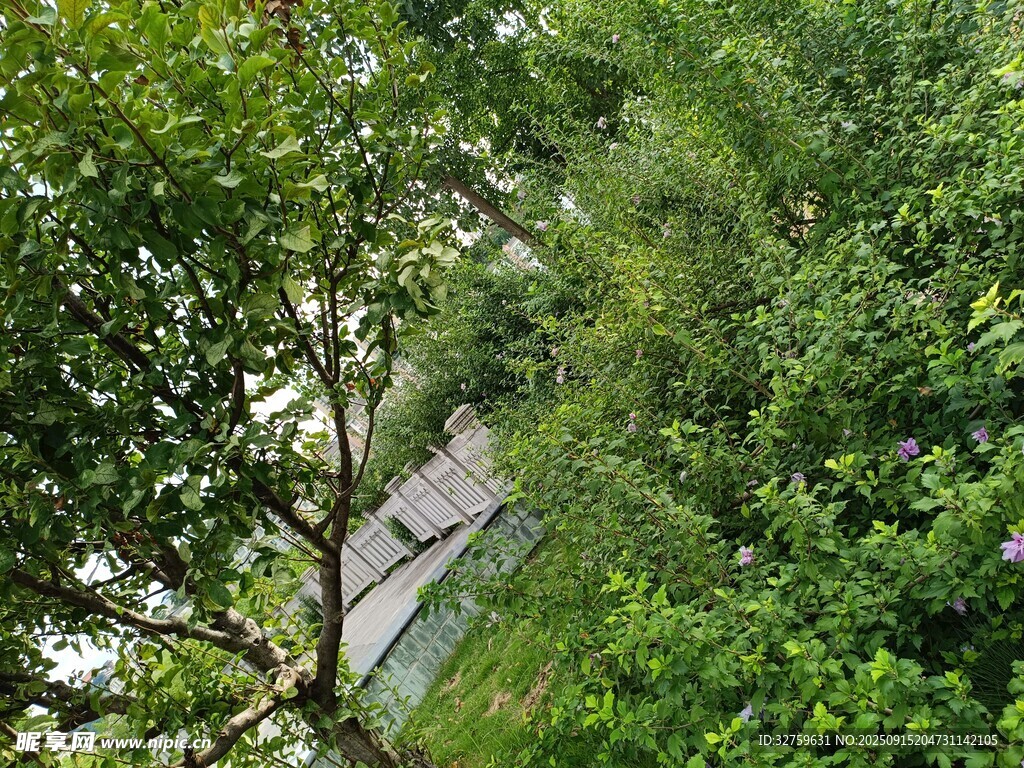 林间小屋隐于葱郁绿植中