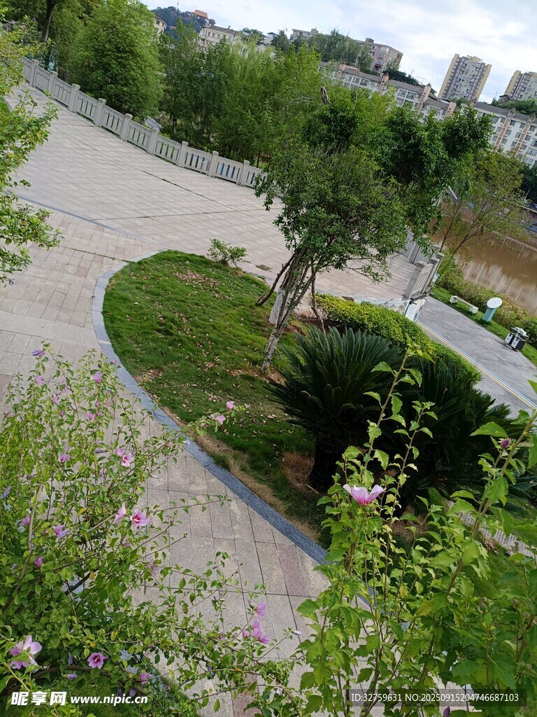 园林景观中的绿植小径
