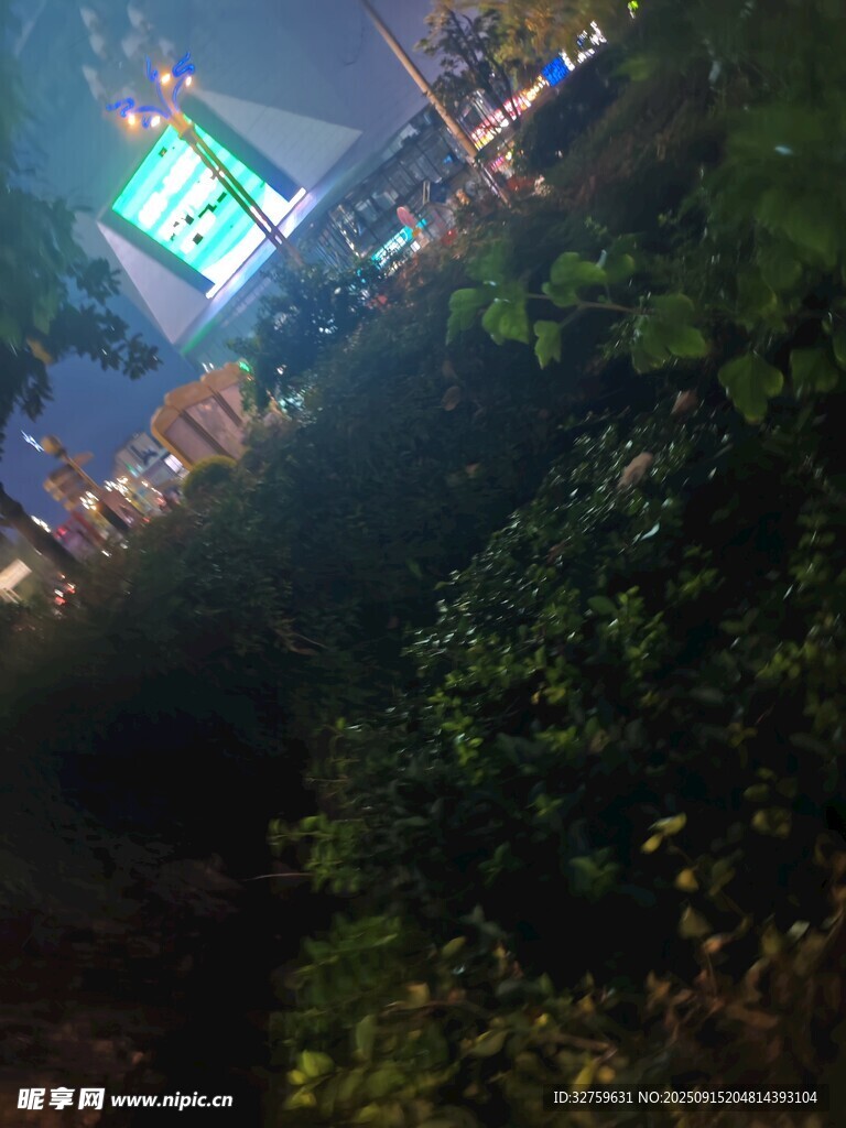 夜晚绿植旁的亮灯建筑