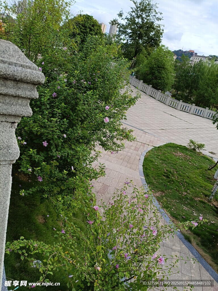 花园中的蜿蜒小径