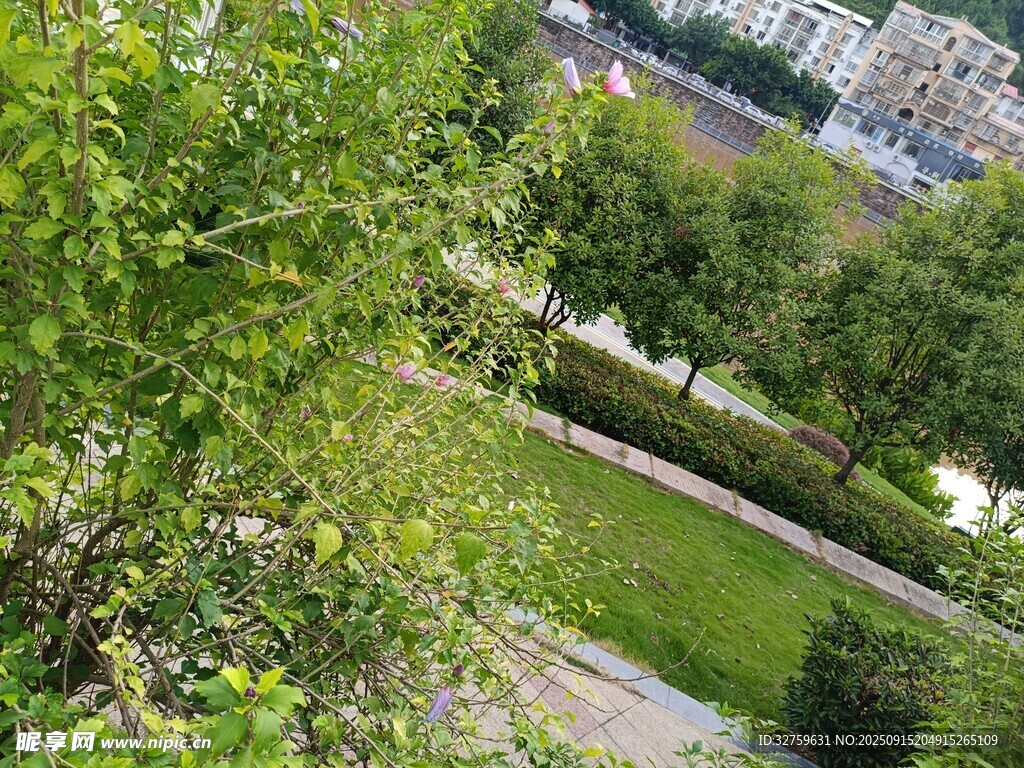 城市中的绿意花园景观